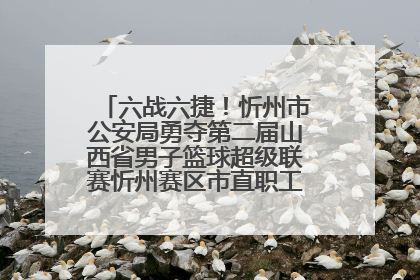 六战六捷！忻州市公安局勇夺第二届山西省男子篮球超级联赛忻州赛区市直职工组比赛冠军