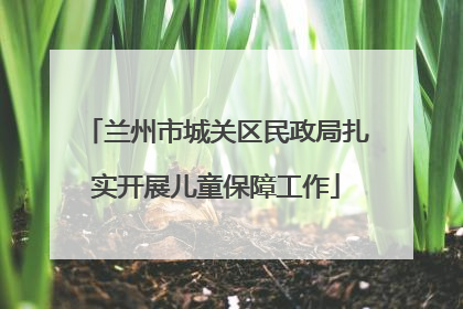 兰州市城关区民政局扎实开展儿童保障工作