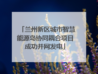 兰州新区城市智慧能源岛协同耦合项目成功并网发电