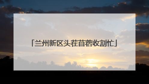 兰州新区头茬苜蓿收割忙