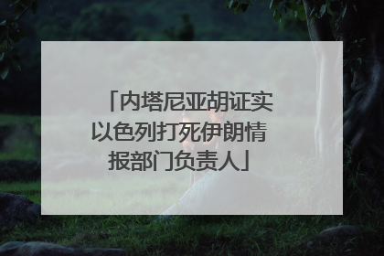 内塔尼亚胡证实以色列打死伊朗情报部门负责人