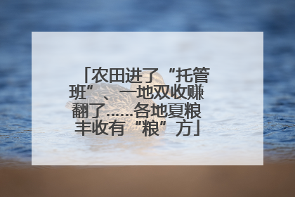 农田进了“托管班”、一地双收赚翻了……各地夏粮丰收有“粮”方