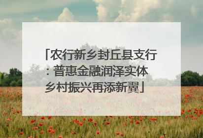 农行新乡封丘县支行：普惠金融润泽实体 乡村振兴再添新翼