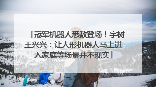 冠军机器人悉数登场！宇树王兴兴：让人形机器人马上进入家庭等场景并不现实