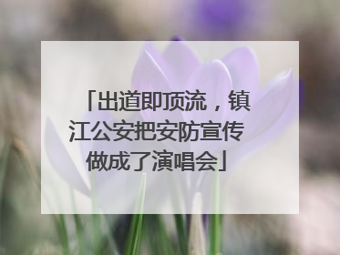 出道即顶流，镇江公安把安防宣传做成了演唱会