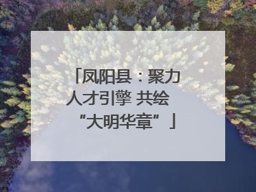 凤阳县：聚力人才引擎 共绘“大明华章”