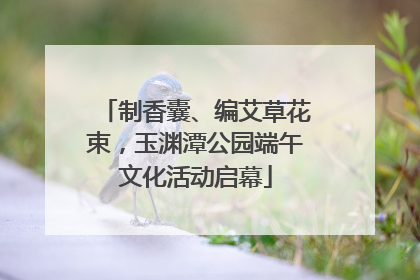 制香囊、编艾草花束，玉渊潭公园端午文化活动启幕