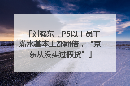 刘强东：P5以上员工薪水基本上都翻倍，“京东从没卖过假货”