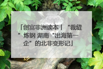 创富非洲读本丨“裁缝”炼钢 湖南“出海第一企”的北非变形记