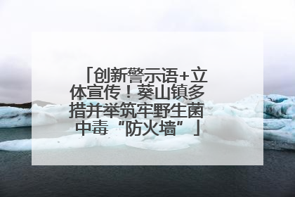 创新警示语+立体宣传！葵山镇多措并举筑牢野生菌中毒“防火墙”