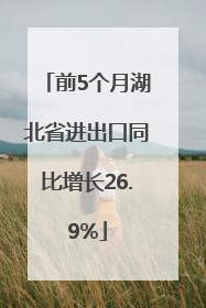 前5个月湖北省进出口同比增长26.9%