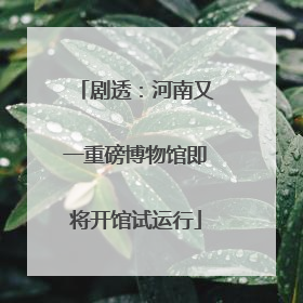 剧透：河南又一重磅博物馆即将开馆试运行