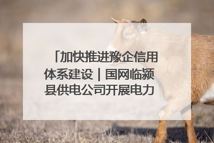 加快推进豫企信用体系建设｜国网临颍县供电公司开展电力行业信用企业现场咨询访谈工作