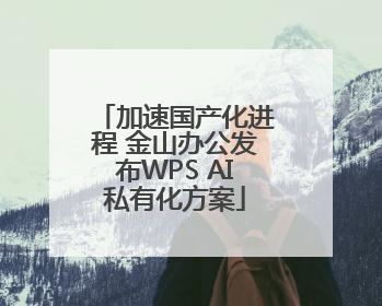 加速国产化进程 金山办公发布WPS AI私有化方案