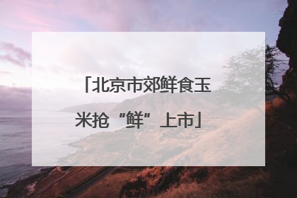北京市郊鲜食玉米抢“鲜”上市