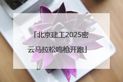 北京建工2025密云马拉松鸣枪开跑