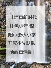 培育新时代红色少年 绵阳市桑枣小学开展少先队队前教育活动