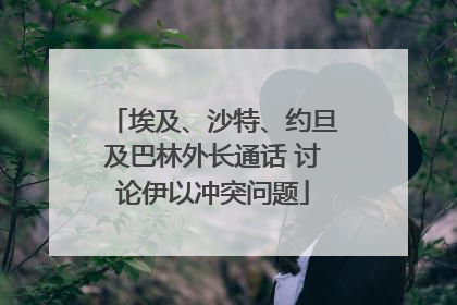 埃及、沙特、约旦及巴林外长通话 讨论伊以冲突问题