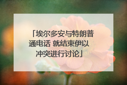 埃尔多安与特朗普通电话 就结束伊以冲突进行讨论