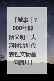 城事｜7000年仰韶文明：大河村遗址代表性文物首回原址