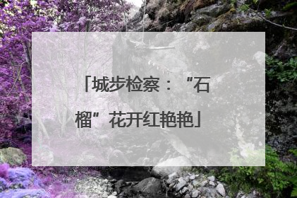 城步检察：“石榴”花开红艳艳
