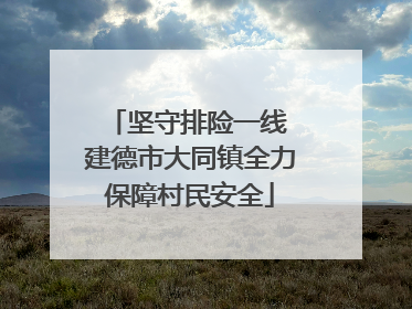 坚守排险一线 建德市大同镇全力保障村民安全