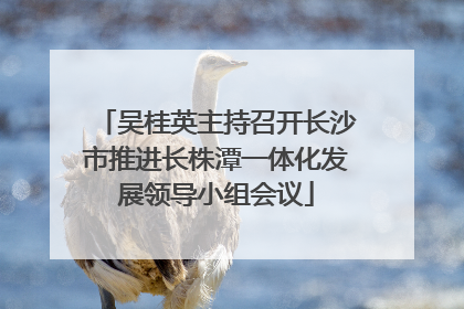 吴桂英主持召开长沙市推进长株潭一体化发展领导小组会议