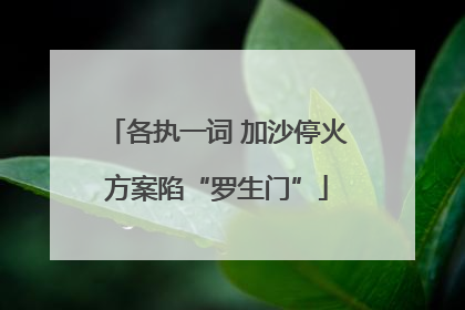 各执一词 加沙停火方案陷“罗生门”