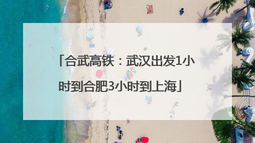 合武高铁：武汉出发1小时到合肥3小时到上海