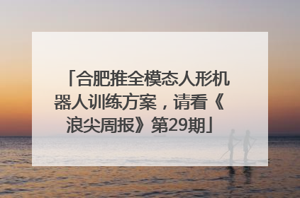 合肥推全模态人形机器人训练方案，请看《浪尖周报》第29期