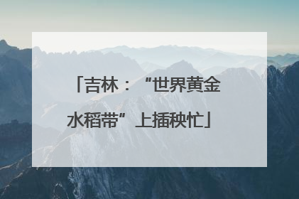 吉林：“世界黄金水稻带”上插秧忙