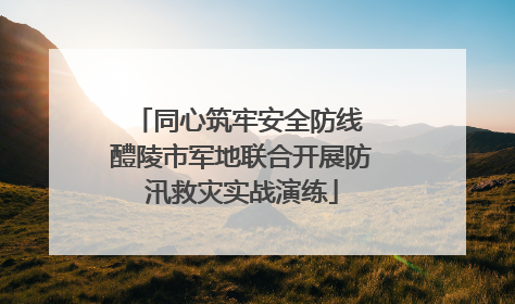 同心筑牢安全防线 醴陵市军地联合开展防汛救灾实战演练