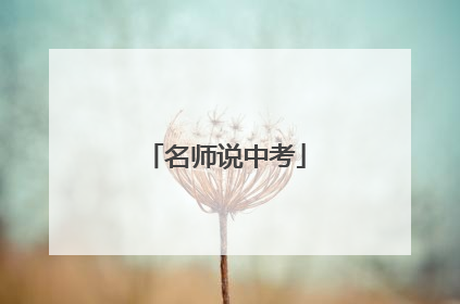 名师说中考