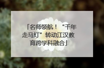 名师领航！“千年走马灯”转动江汉教育跨学科融合