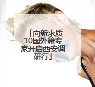 向新求质 10国外籍专家开启西安调研行