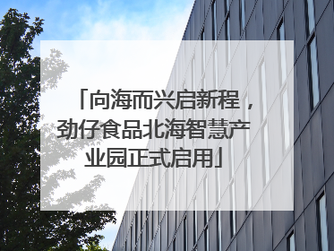 向海而兴启新程，劲仔食品北海智慧产业园正式启用