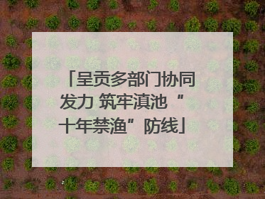 呈贡多部门协同发力 筑牢滇池“十年禁渔”防线