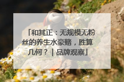 和其正：无规模无粉丝的养生水豪赌，胜算几何？｜品牌观察