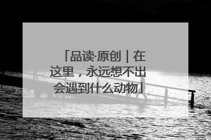 品读·原创｜在这里，永远想不出会遇到什么动物