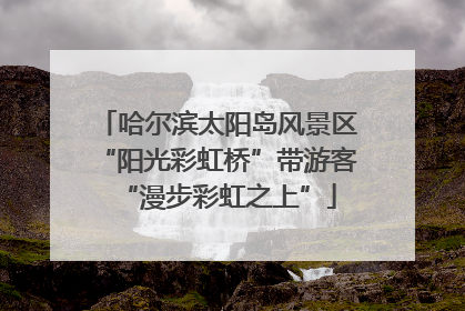 哈尔滨太阳岛风景区“阳光彩虹桥”带游客“漫步彩虹之上”
