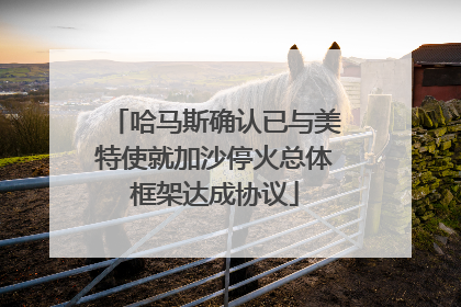 哈马斯确认已与美特使就加沙停火总体框架达成协议