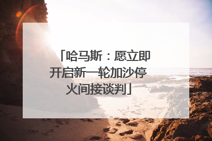哈马斯：愿立即开启新一轮加沙停火间接谈判