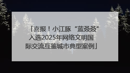 喜报！小江豚“蓝叒叒”入选2025年网络文明国际交流互鉴城市典型案例