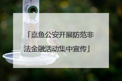 嘉鱼公安开展防范非法金融活动集中宣传