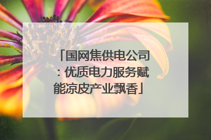 国网焦供电公司：优质电力服务赋能凉皮产业飘香