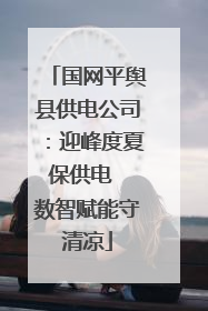 国网平舆县供电公司：迎峰度夏保供电  数智赋能守清凉