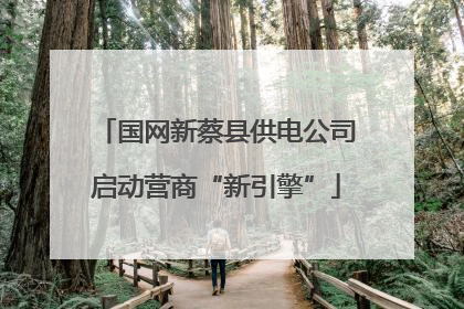 国网新蔡县供电公司启动营商“新引擎”