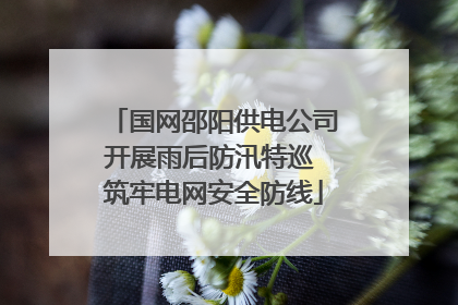 国网邵阳供电公司开展雨后防汛特巡 筑牢电网安全防线