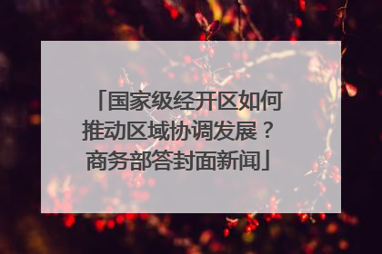 国家级经开区如何推动区域协调发展？商务部答封面新闻