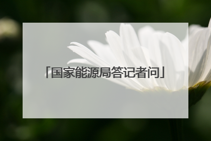 国家能源局答记者问